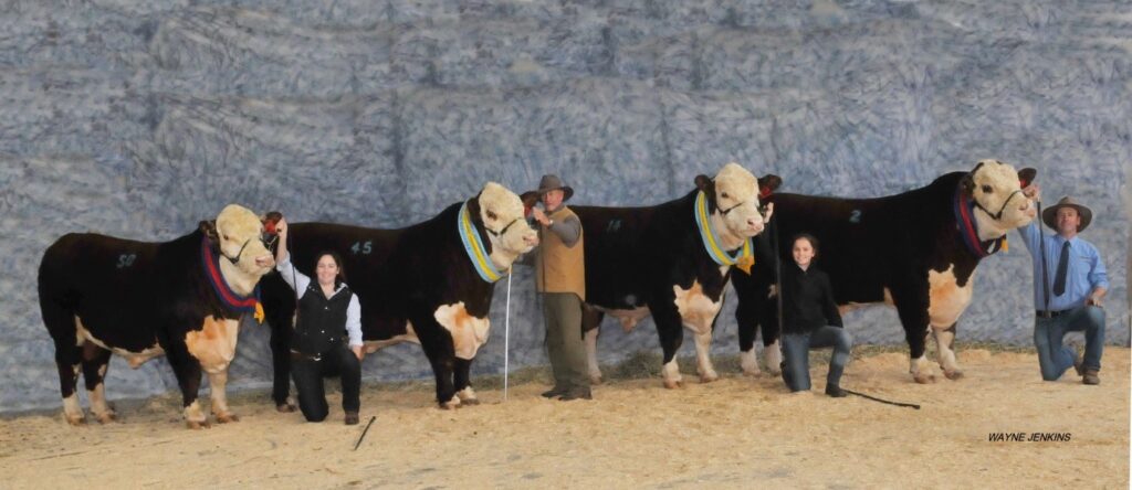 Performance Quadrella at Dubbo 2016