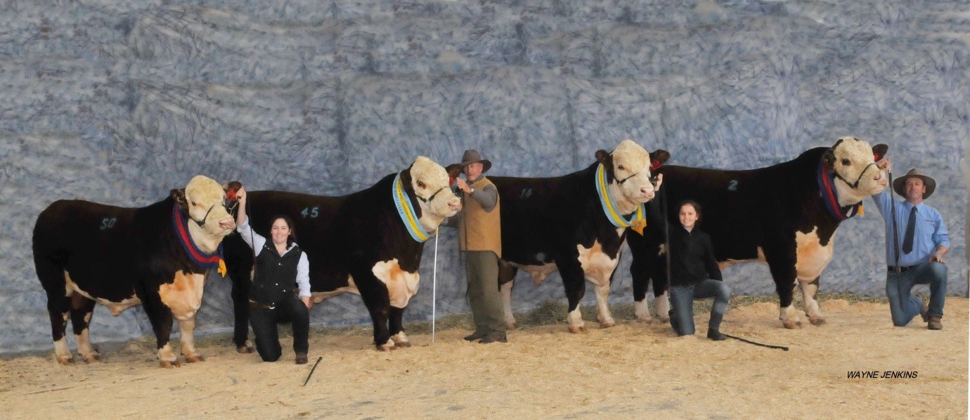 Performance Quadrella at Dubbo 2016