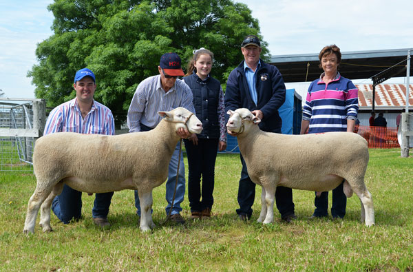 Allendale-2_Days_DSC_1993_D Days Whiteface 2016 Ram Sale