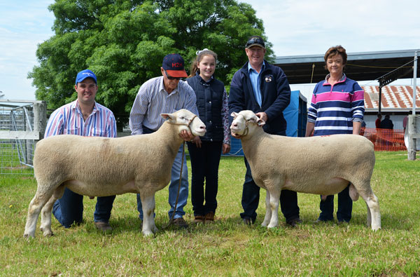 Days Whiteface 2016 Ram Sale