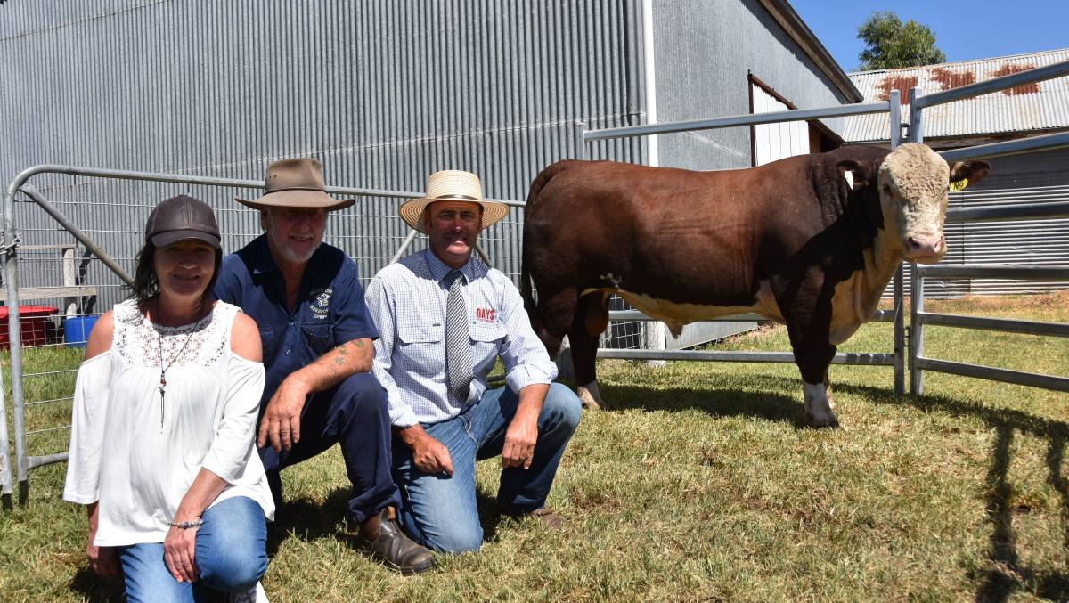 Days Whiteface 2019 Bull Sale