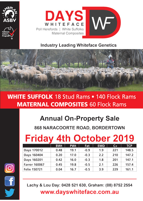 Days Whiteface Annual Ram Sale 2019