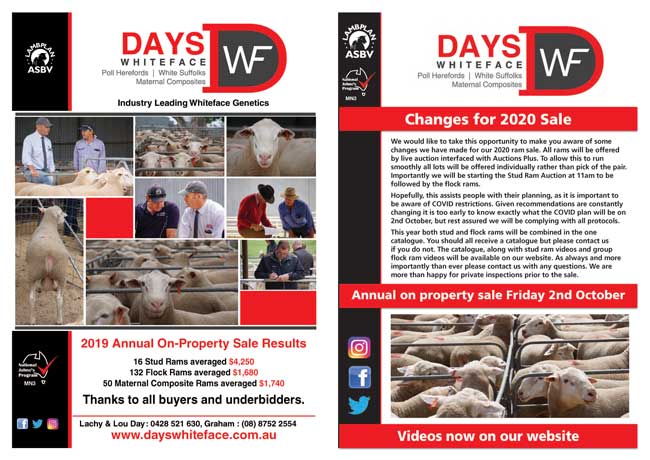 2020 Days Whiteface Sheep Newsletter
