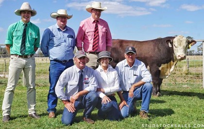 Days Whiteface Bull Sale 2021