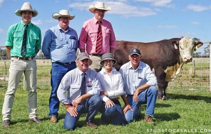 Sale 2021 2 Days Whiteface Bull Sale 2021
