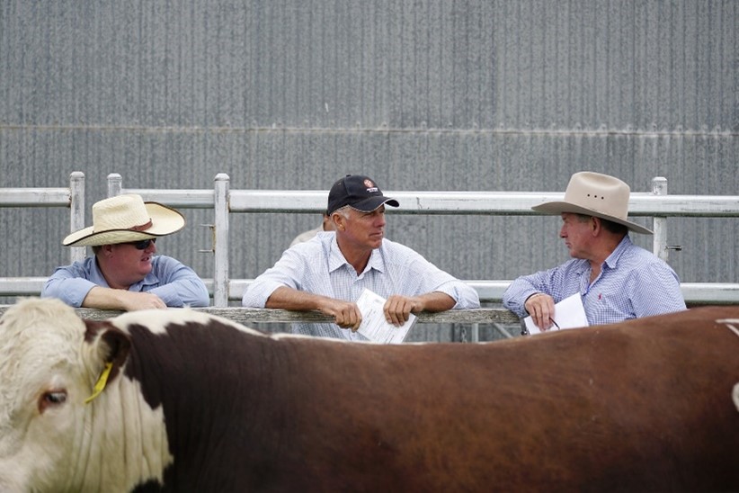 Days Whiteface Bull Sale 2021