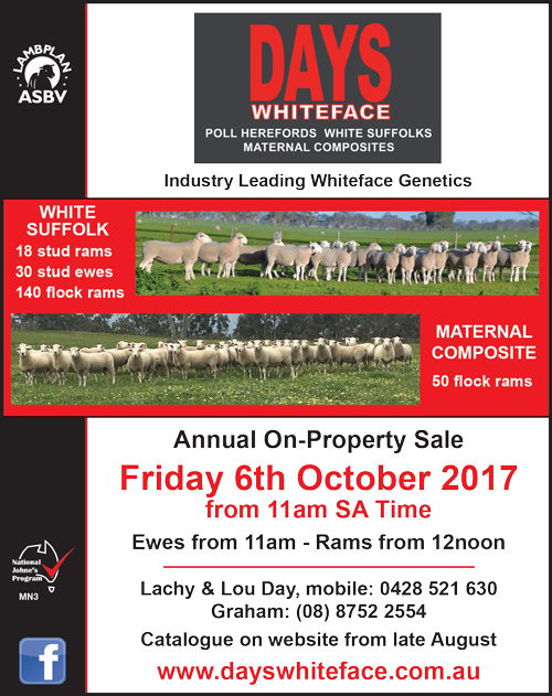Days Whiteface Annual Ram Sale 2017