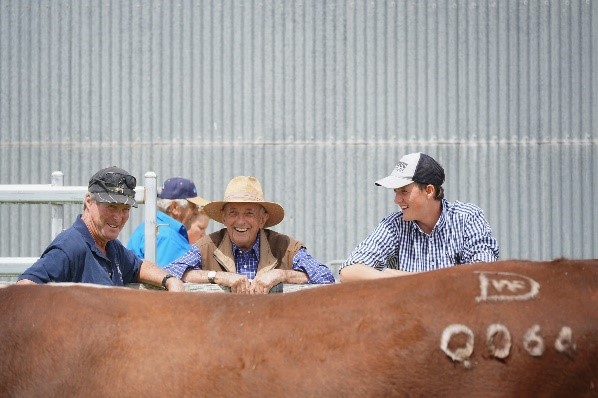 Days Whiteface 2021 Bull Sale