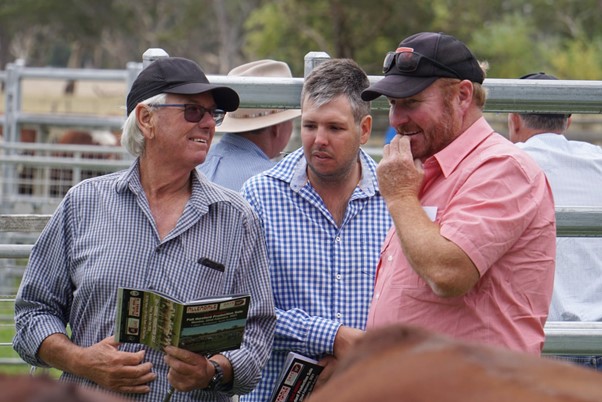 Days Whiteface 2021 Bull Sale