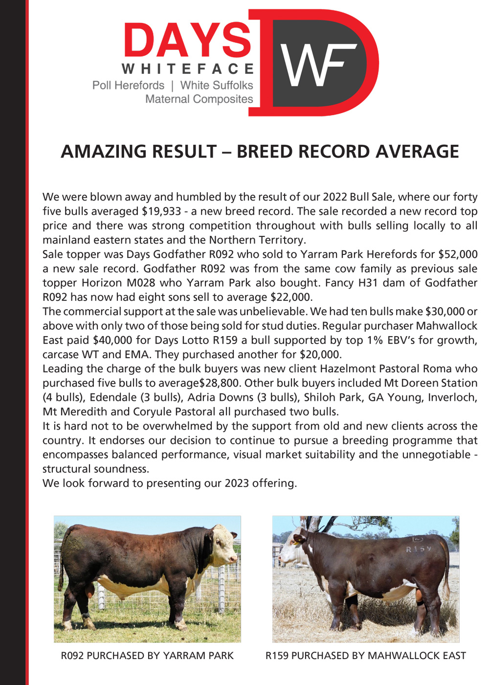 Days Whiteface Cattle Update 2022