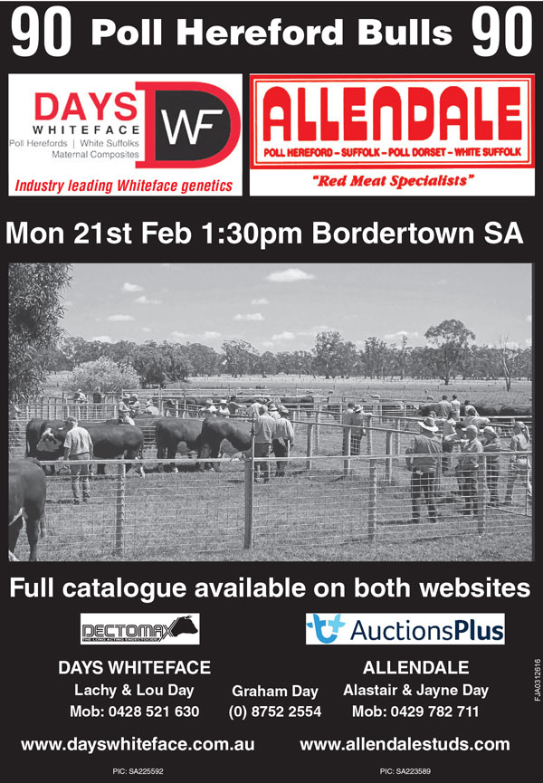 2022 Bull Sale Poster