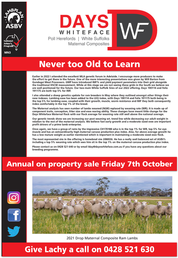 2022 Days Whiteface Sheep Newsletter