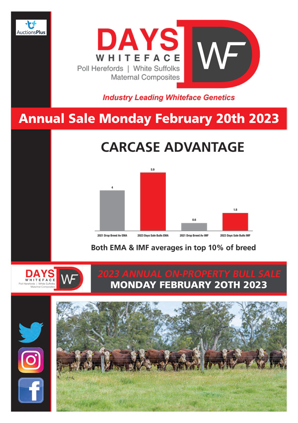 2023 Cattle NL 2023 Cattle NL