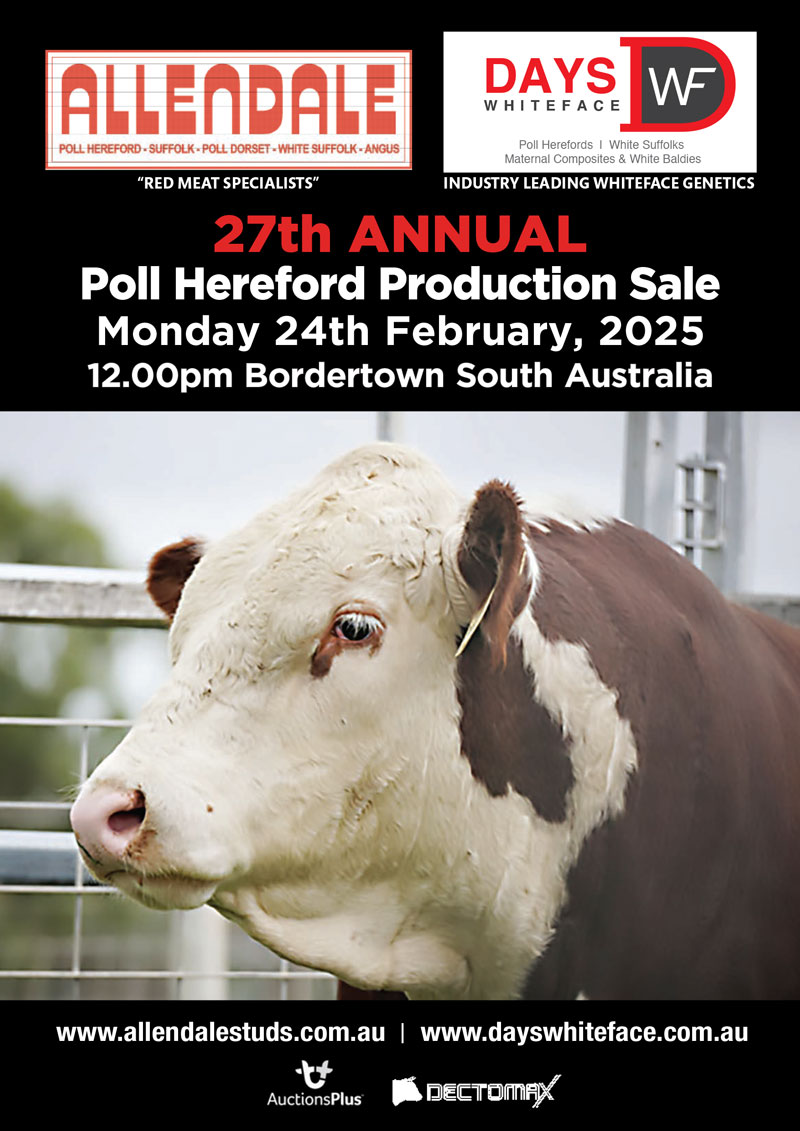 Allendale Days 2025 Sale Catalogue 1