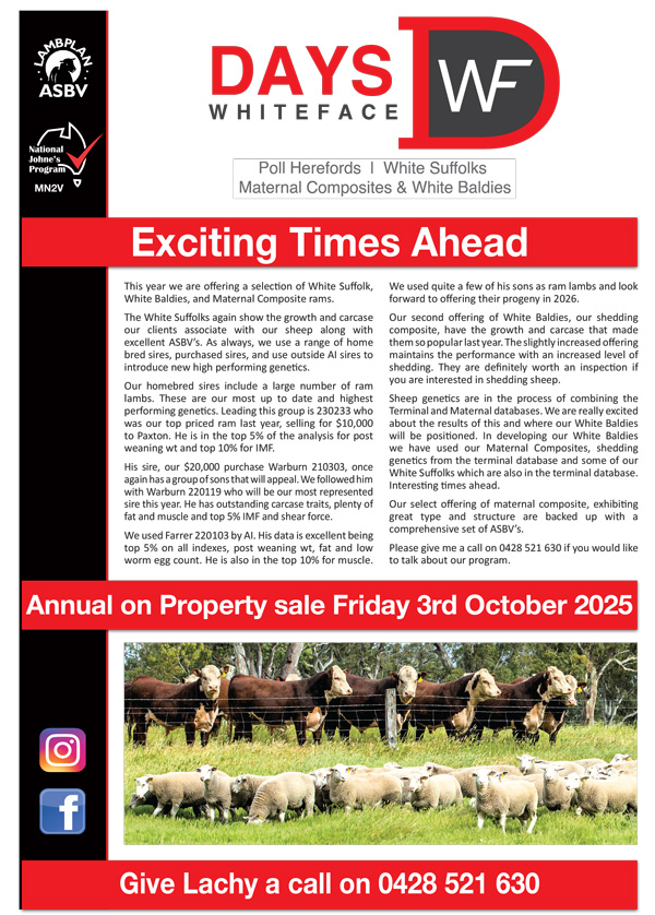 71321 25 Days White Face Newsletter 1 71321 25 Days White Face Newsletter 1