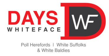 Days Whiteface
