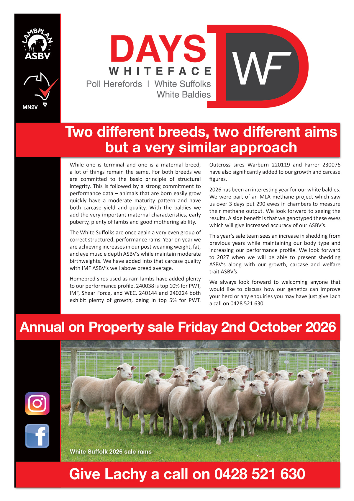 73897 26 Days White Face Newsletter 1 73897 26 Days White Face Newsletter 1